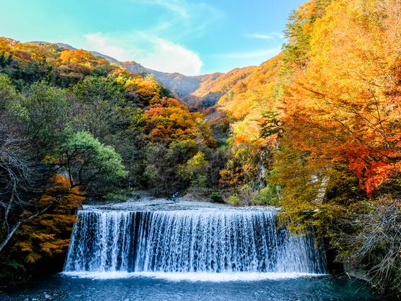 2019年の長野県の絶景紅葉スポットはここ！人気のドライブコースとおすすめ旅館