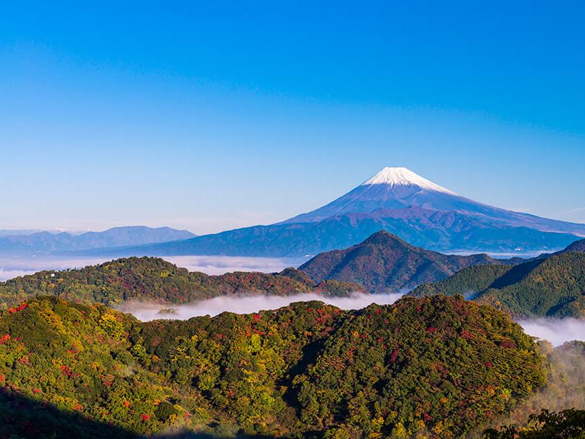 カップルの間で人気急上昇！富士山の景色が見える伊豆エリアの人気旅館