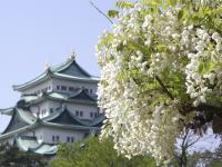 栄からすぐ。名古屋城の北に広がる花と緑とスポーツのための都市型公園
