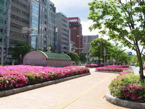 三宮駅から続く、花に溢れた道と花時計
