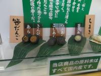 新潟土産の定番、笹団子の手作り体験