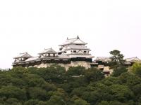 松山市街地から瀬戸内海、四国山脈まで一望できる松山城へ！！