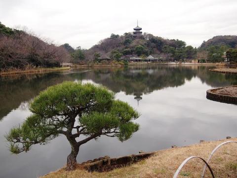 日本古来の美を凝縮した、京都よりも京都らしいといわれる日本庭園
