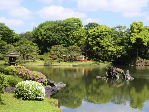 江戸中期に造られた名庭園。アーティスティックな和の風情に酔いしれる