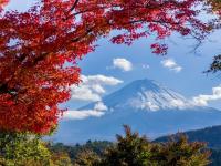 関東で紅葉を楽しむ！秋のレジャー紅葉狩りスポット23選