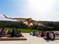 那須高原の雄大な自然の中、驚きと感動を提供する動物園