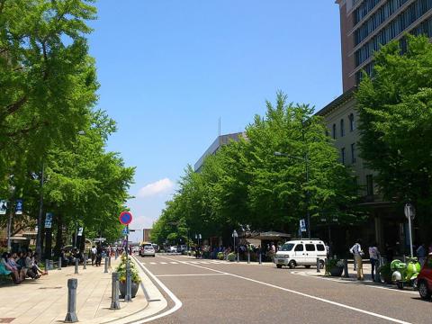 イチョウ並木にレトロな建造物が美しい、横浜のシンボルストリート