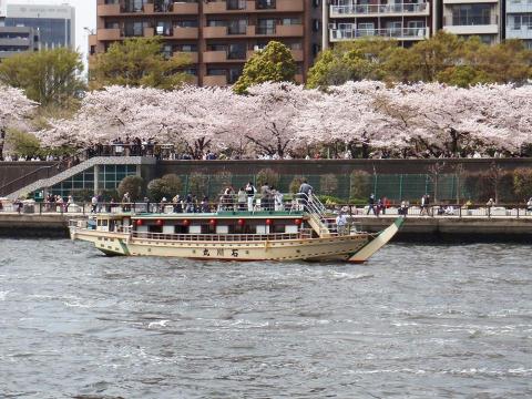 船から眺める川岸の風景が新鮮！ 江戸情緒漂う粋な船遊び