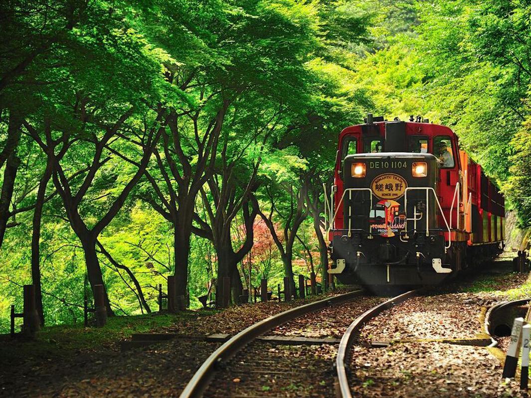 列車 京都 予約 トロッコ 【桜を狙うなら今予約！】トロッコ列車で行く京都嵯峨野のローカルな旅