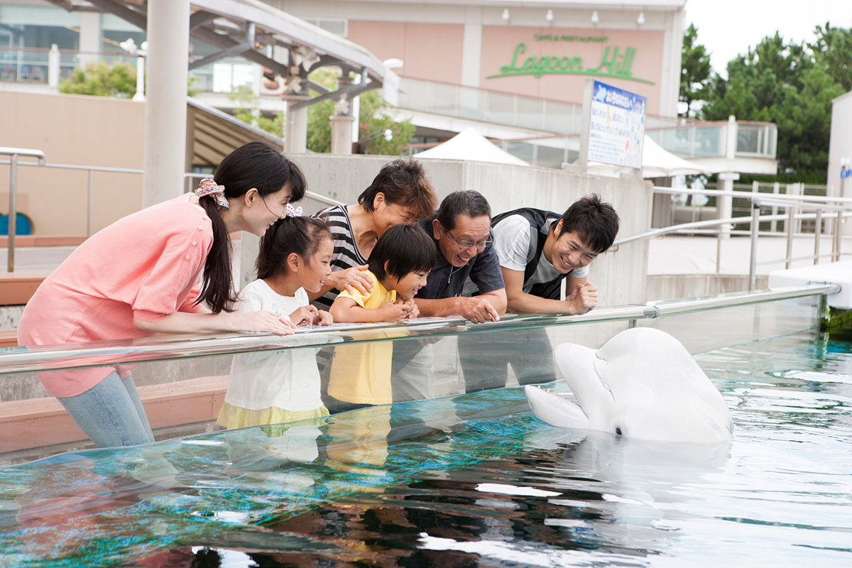 横浜 八景島シーパラダイス周辺の観光スポット情報 ホテル 旅館の宿泊予約なら Navitime Travel