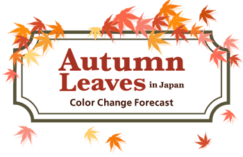 Autumn Foliage Forecast